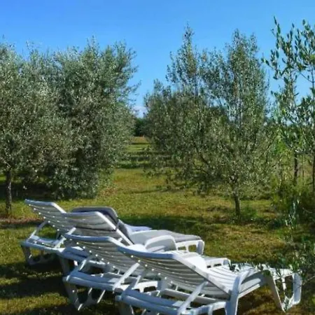 House In Nature - House *